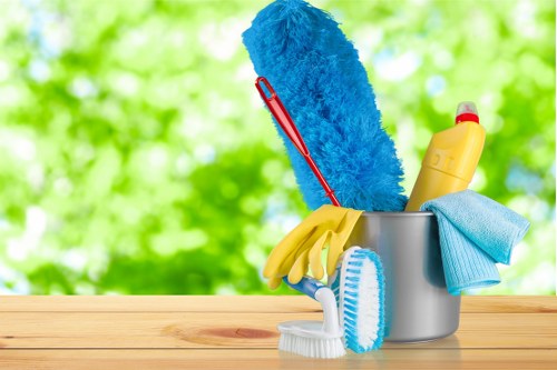 Common stains and cleaning products used in The Hyde homes