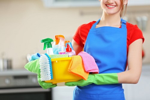 Professional carpet cleaning in The Hyde for a brighter home interior