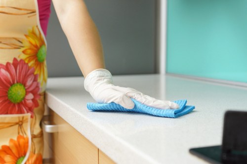 Secure payment area for The Hyde Carpet Cleaners with protected card and online checkout options