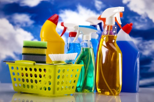 The Hyde Carpet Cleaners emphasizing quality, care, and professional carpet maintenance