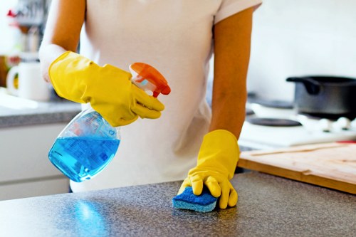 Professional stain removal treatment for delicate fabrics in The Hyde
