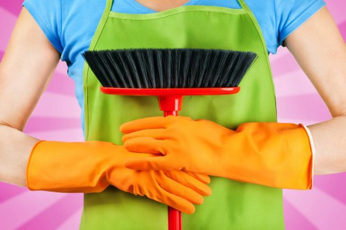 Illustration of a cookie notice for The Hyde Carpet Cleaners