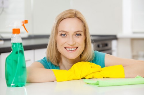 Carpet cleaning in Hyde with deep cleaning and fresh indoor results