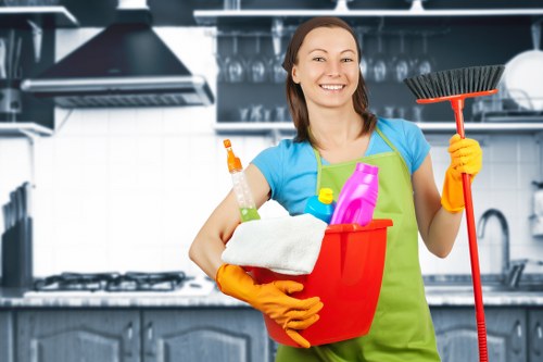 Carpet cleaning in The Hyde with aftercare tips for long-lasting results