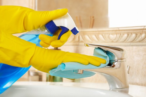 Professional curtain cleaning in The Hyde for dust and stain removal