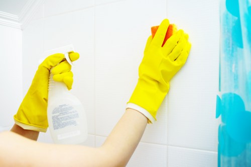 Professional carpet cleaner using hot water extraction in The Hyde