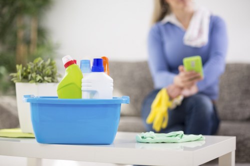 Professional sofa cleaning in The Hyde with deep upholstery care