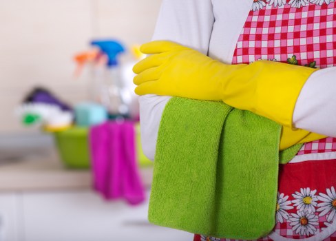Upholstery cleaning process for a living room sofa in The Hyde