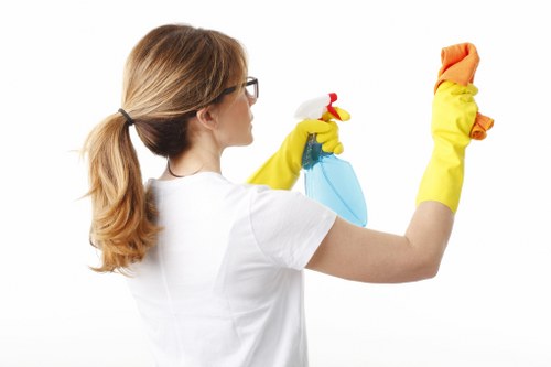 Deep cleaning process for office carpets in The Hyde