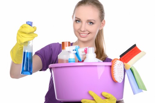 Cleaner restoring freshness to a household sofa in The Hyde