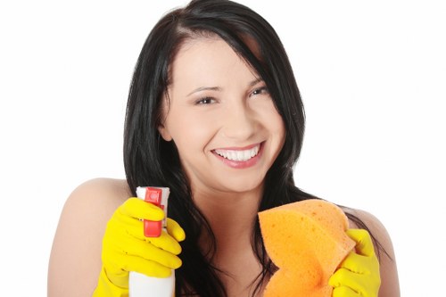Protective PPE used by carpet cleaners during a cleaning job