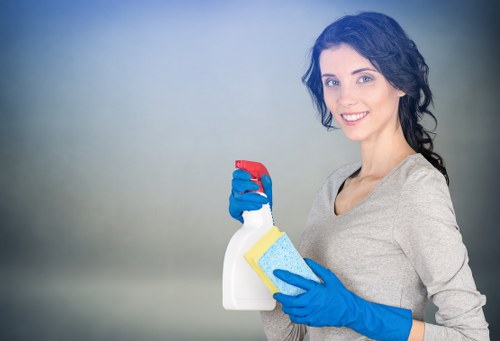 Leather sofa cleaning and conditioning service in The Hyde