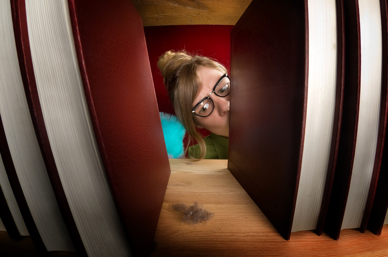 Window cleaning eco-friendly